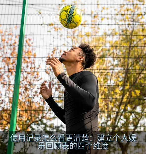 使用记录怎么看更清楚：建立个人娱乐回顾表的四个维度